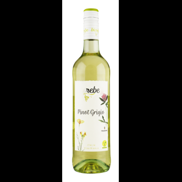 BIOREBE Pinot Grigio Biologisch Vegan